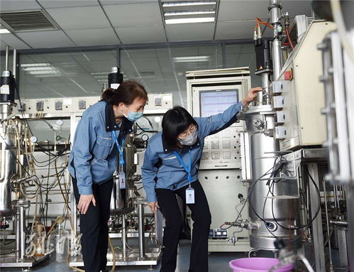 創(chuàng)新河北正當(dāng)時 技術(shù)交流賦能高質(zhì)量發(fā)展新篇章